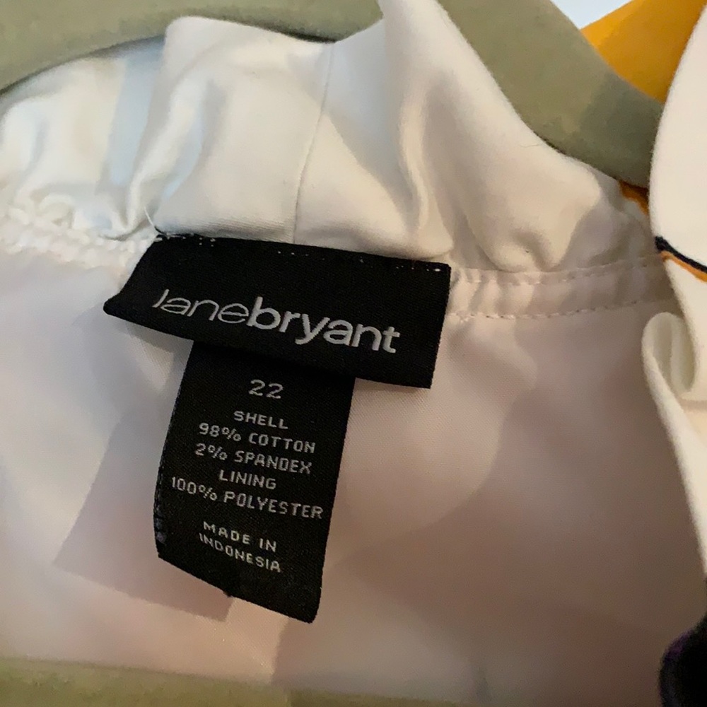 Lane Bryant dress